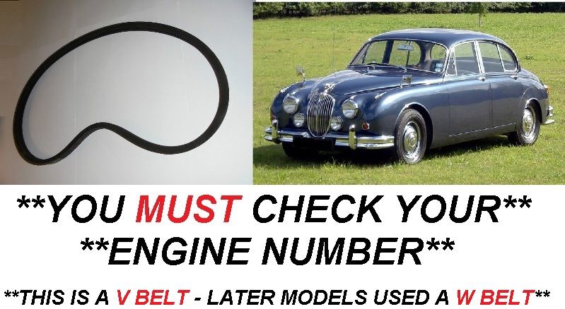 FAN BELT (Jaguar Mk2, 240 ) (2.4 Only)   (**Not 3.4 or 3.8 **)  (1959- Eng. BH5364)   