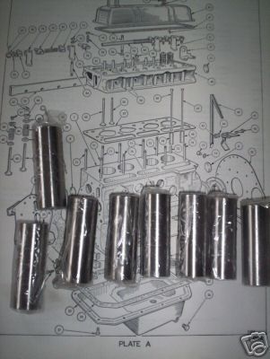 CAM FOLLOWERS SMALL x12 (Triumph Vitesse 1600cc) (Pre 1965)