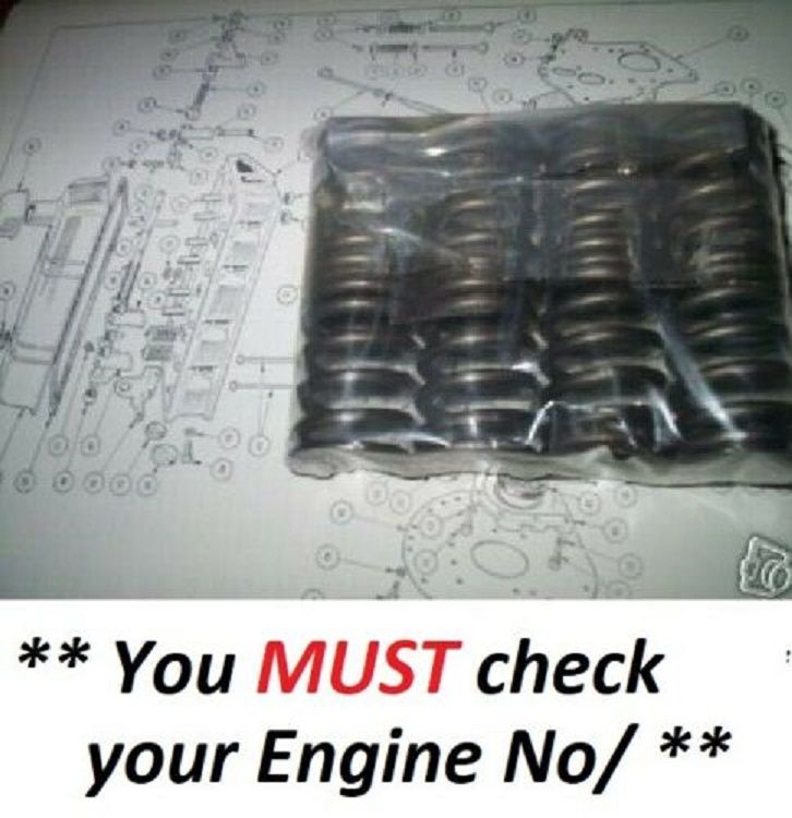 ENGINE VALVE SPRINGS x12 (Triumph TR6) (Fuel Injected) (** From Aug 71- 76 **)