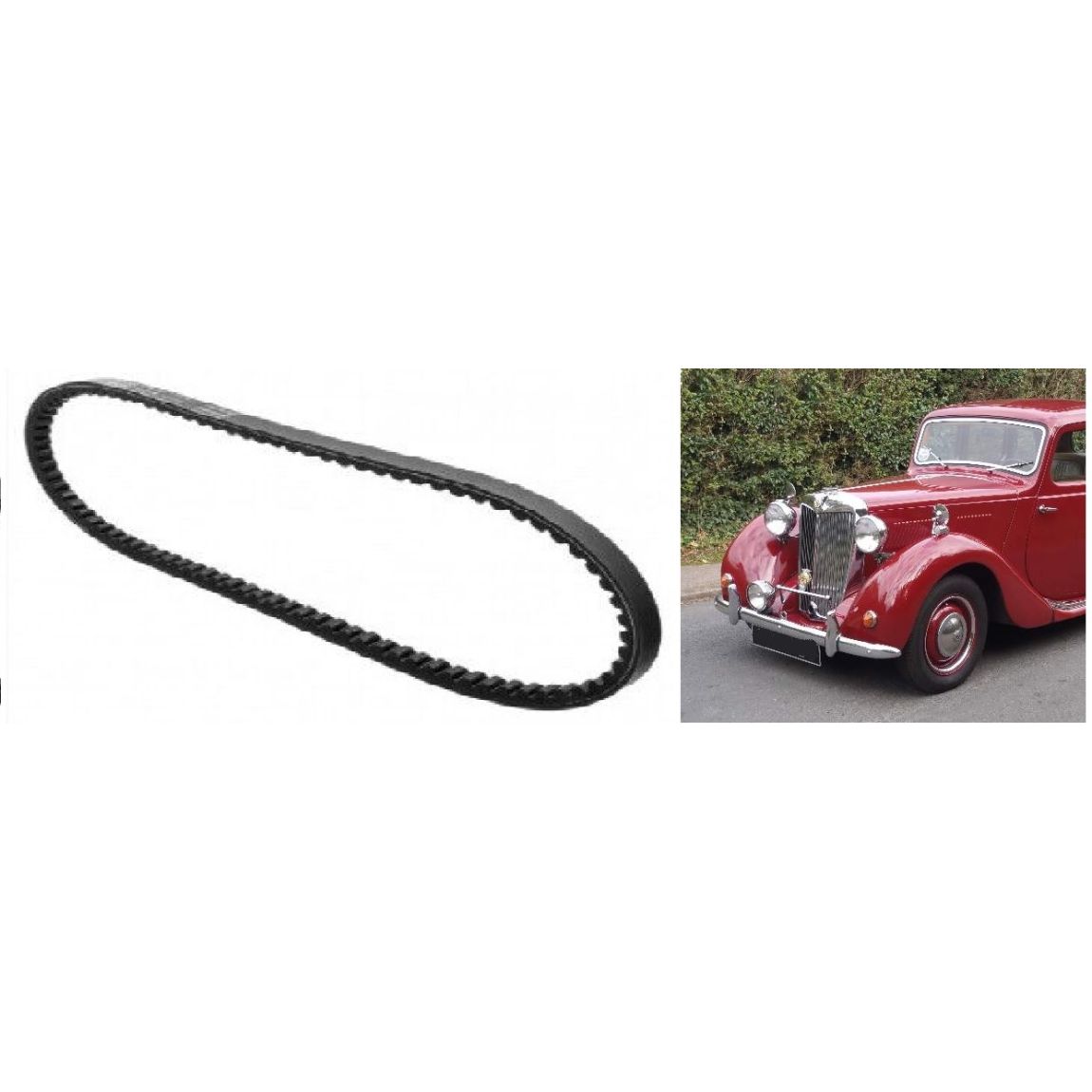 FAN BELT (MG YA & YB Saloon) (Y-Type) (1250cc) (1947- 53)