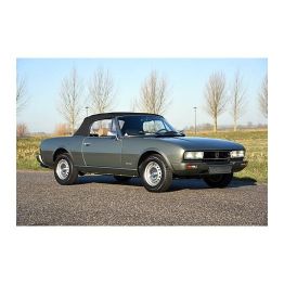 Peugeot 504 & 505
